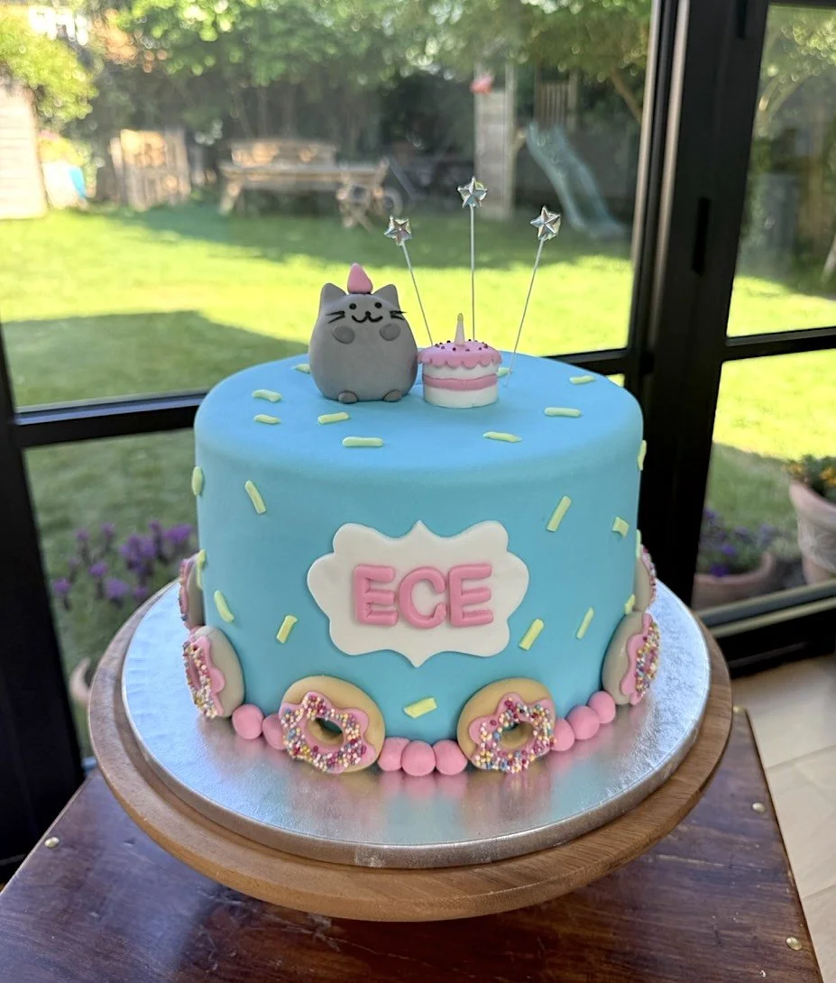 Pusheen the Cat custom sprinkle celebration cake Cambridge